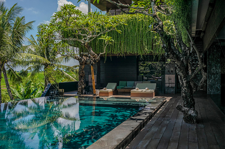 Villa Mana in Canggu,Bali