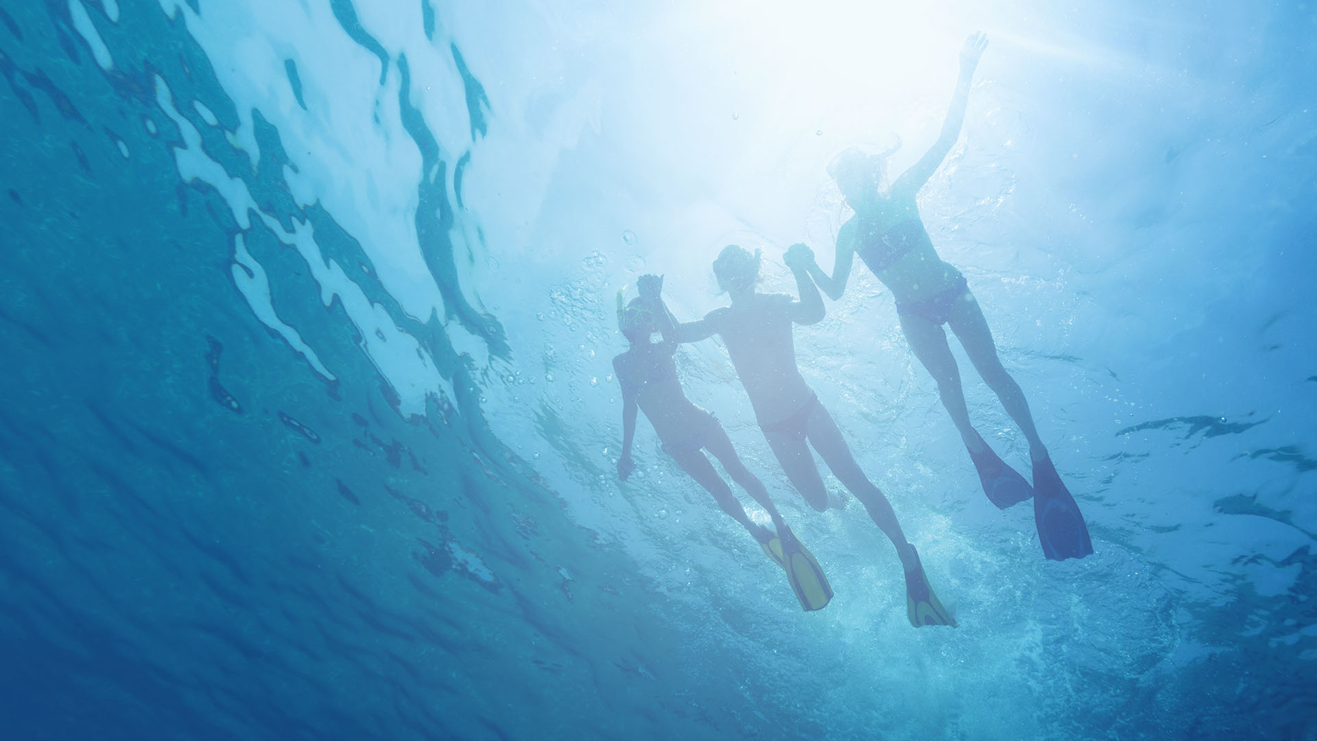 Elite Havens - Family Snorkelling